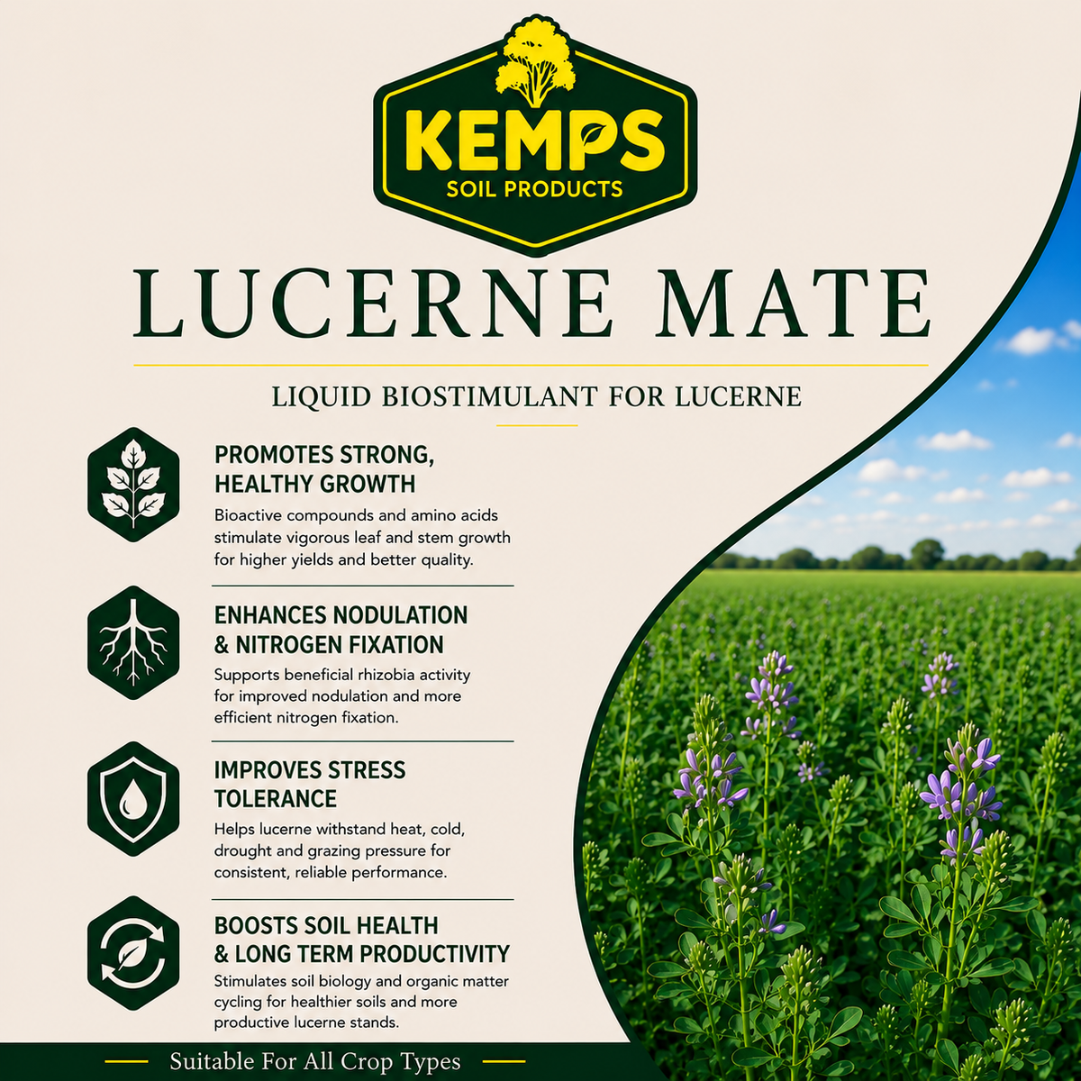 Lucerne Mate Plus