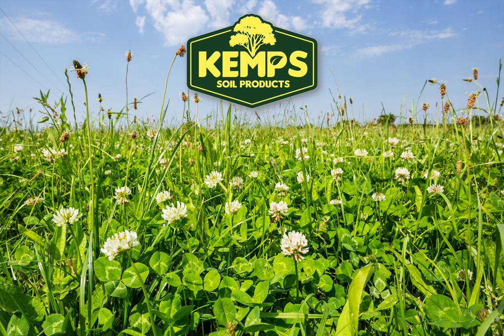 Pasture Mate Plus fermented biological liquid fertiliser for pasture and hay – Kemps Soil Products
