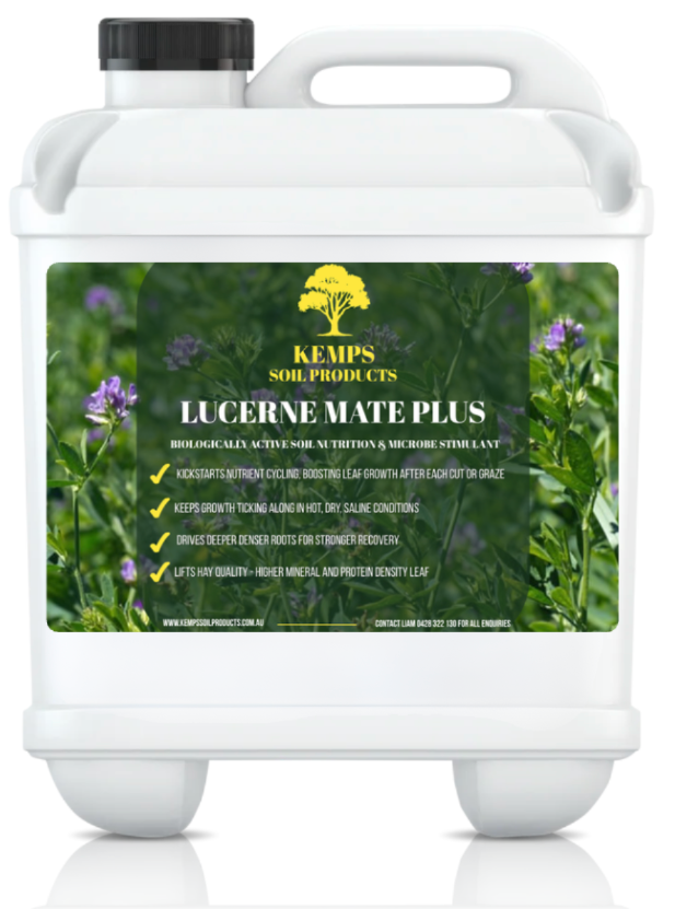 Lucerne Mate Plus